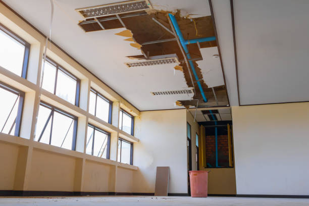 Best Mold removal after water damage  in Durant, OK