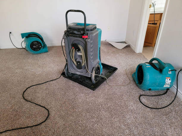 Best Mold removal after water damage  in Durant, OK