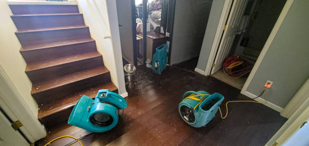 Best Residential water damage restoration  in Durant, OK