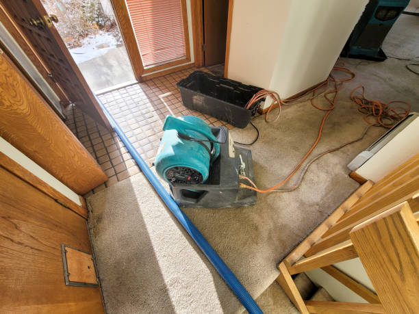 Best Flooded house restoration  in Durant, OK