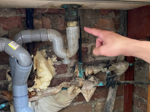 Best Carpet water damage restoration  in Durant, OK