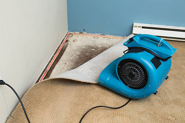 Best Ceiling water damage repair  in Durant, OK